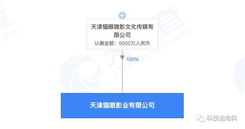 貓眼在天津成立影業公司,注冊資本5000萬元